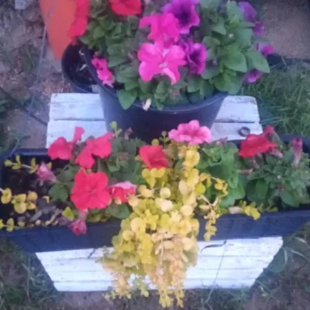 Ogrodzone Miejsce Na Kamper, Przyczepe Kempingowa, Postoj Wohnwagen Rewal