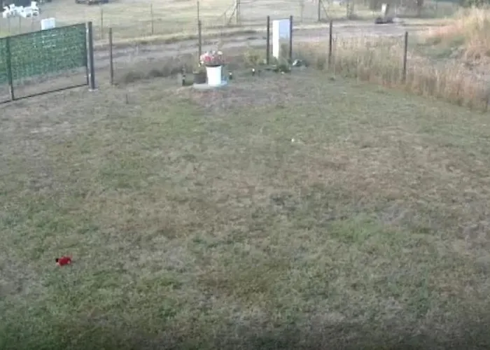 Camping Ogrodzone Miejsce Na Kamper, Przyczepe Kempingowa, Postoj Wohnwagen *