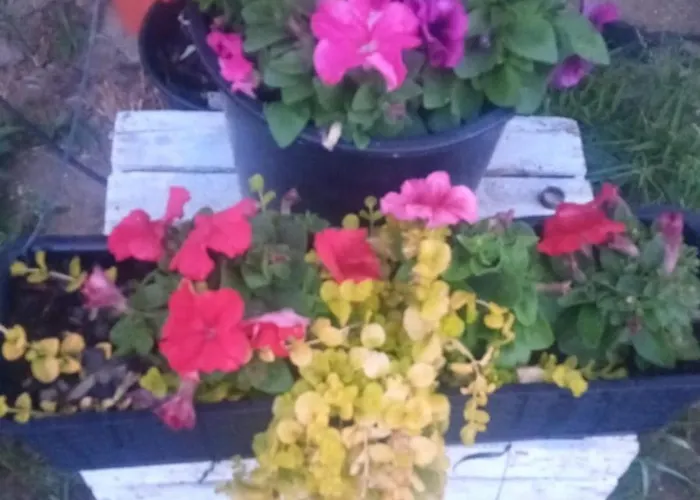 Ogrodzone Miejsce Na Kamper, Przyczepe Kempingowa, Postoj Wohnwagen Rewal